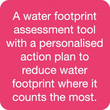 A water footprint assessment tool with a personalised action plan to reduce water footprint where it counts the most 